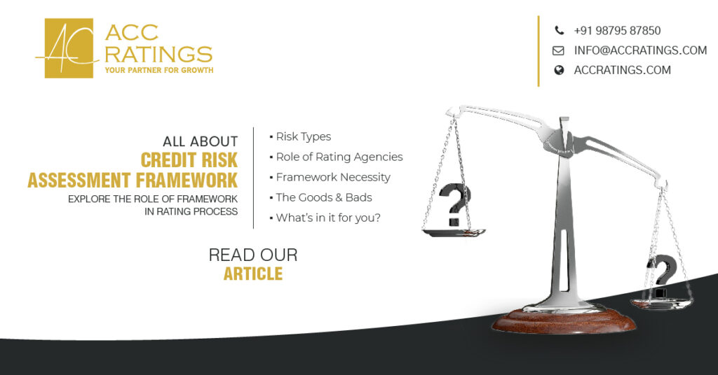 Credit Risk Assessment Framework