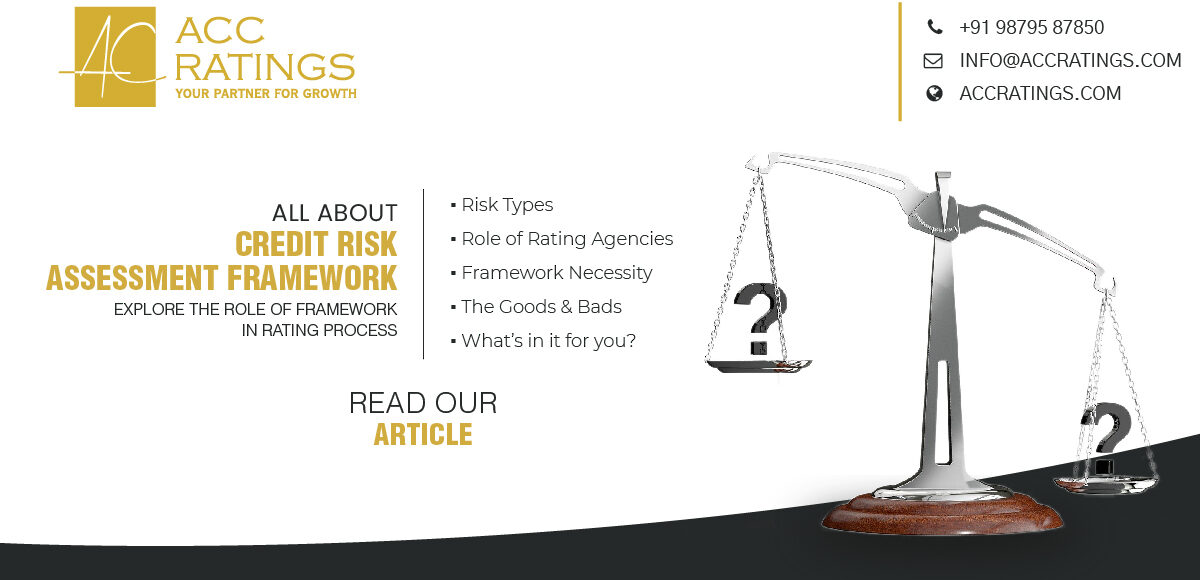Credit Risk Assessment Framework
