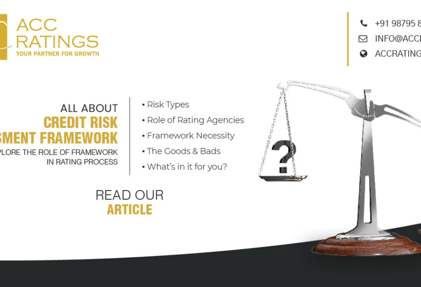 Credit Risk Assessment Framework